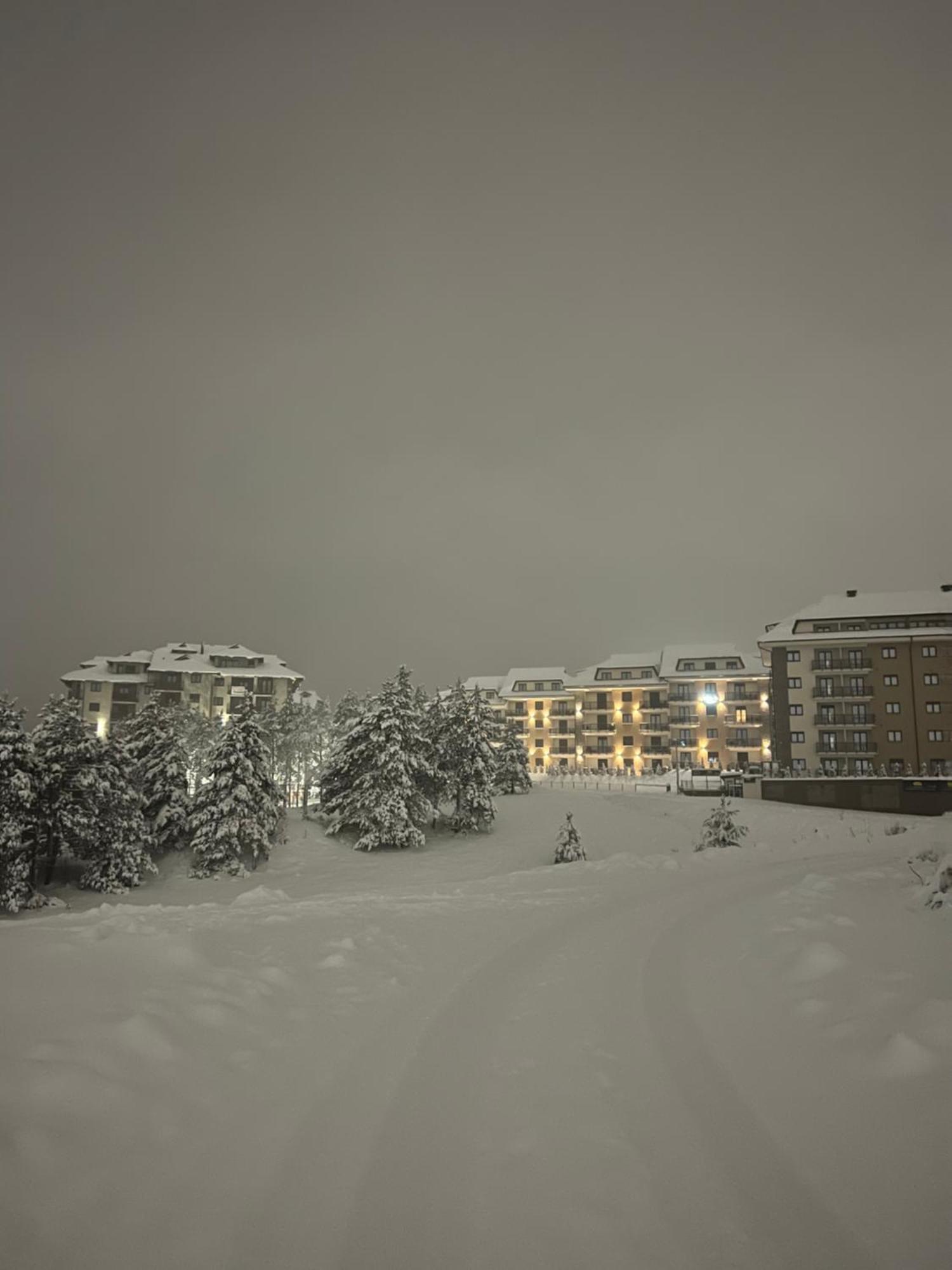 Dream Garden Apartments Zlatibor Kültér fotó